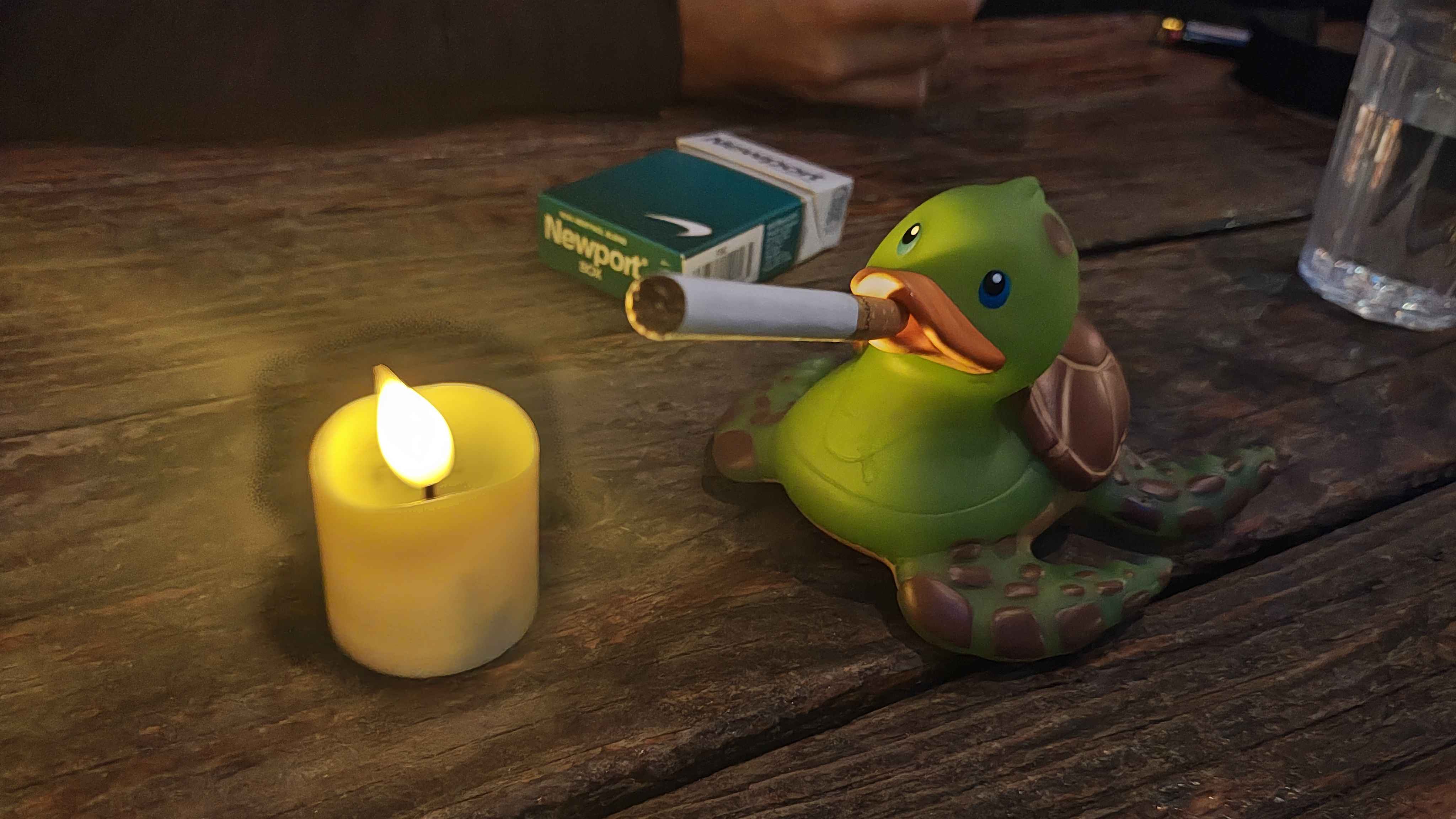 Durt Gently, detective turtleduck